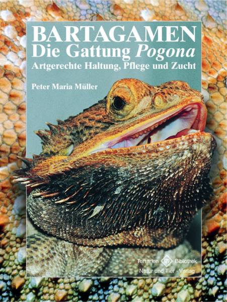 Bartagamen – Die Gattung Pogona